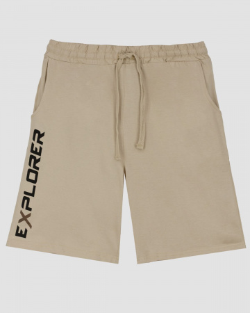 Шорты мужские